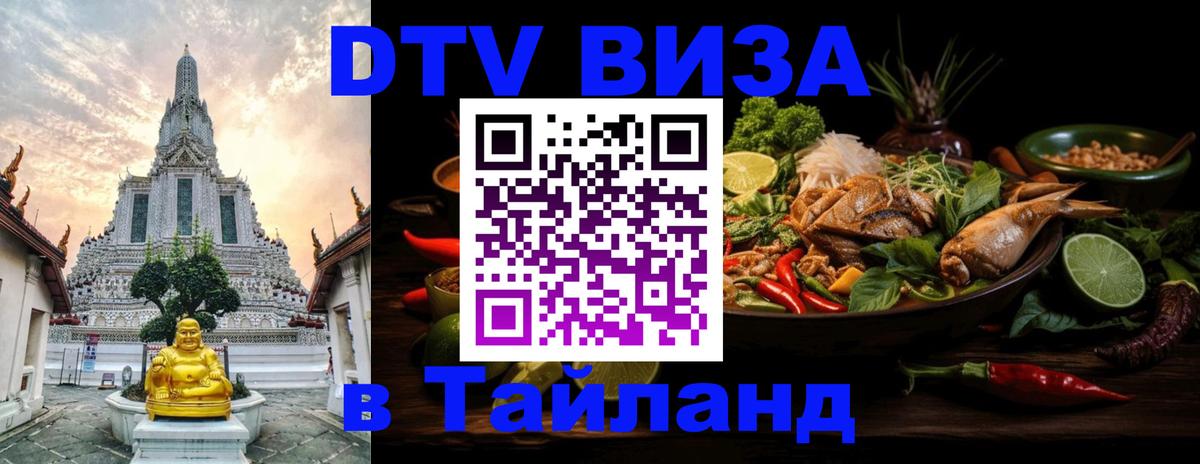 Оформление DTV визы под ключ: стоимость и тарифы, только загранпаспорт - Невинномысск  04.10.2025 